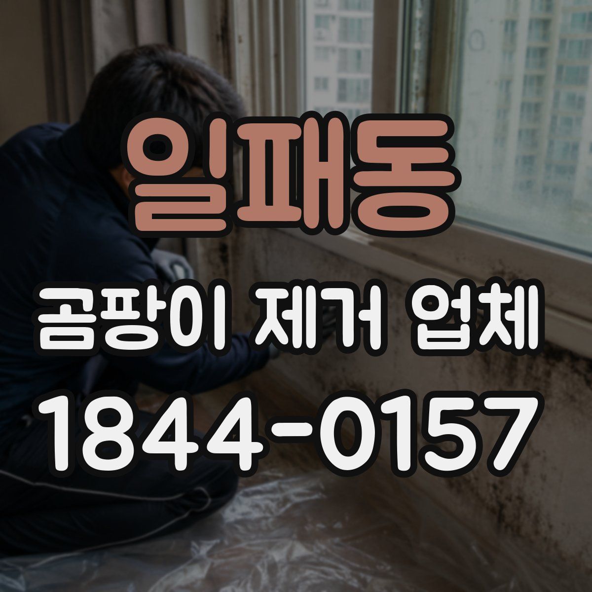 일패동 곰팡이 제거 업체