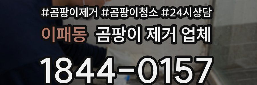 이패동 곰팡이 제거 업체
