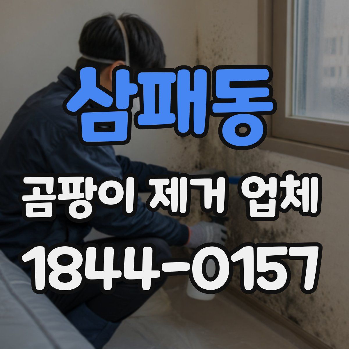 삼패동 곰팡이 제거 업체