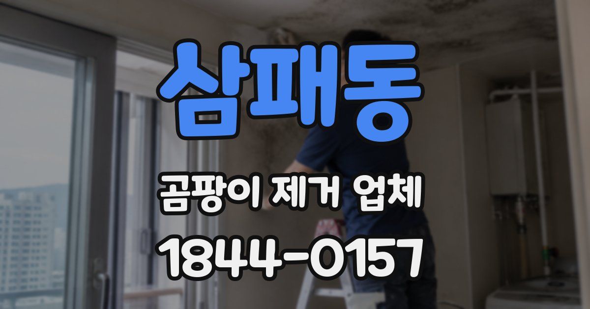 삼패동 곰팡이 제거 업체
