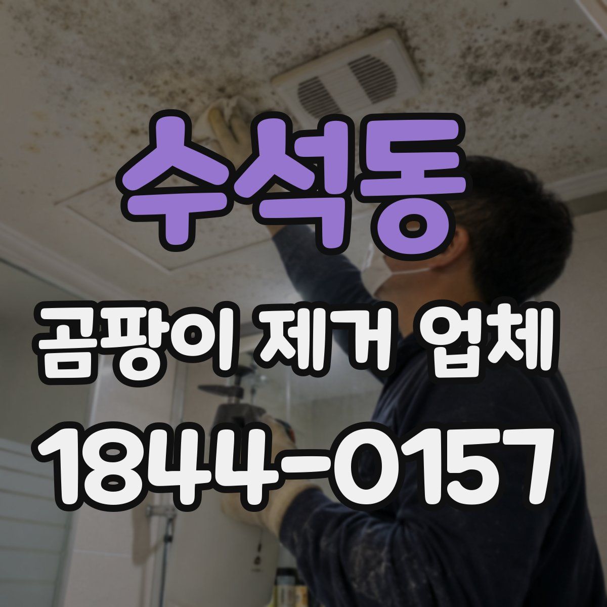 수석동 곰팡이 제거 업체