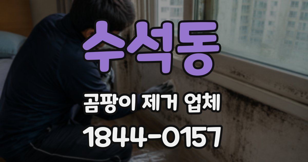 수석동 곰팡이 제거 업체