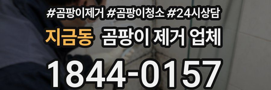 지금동 곰팡이 제거 업체