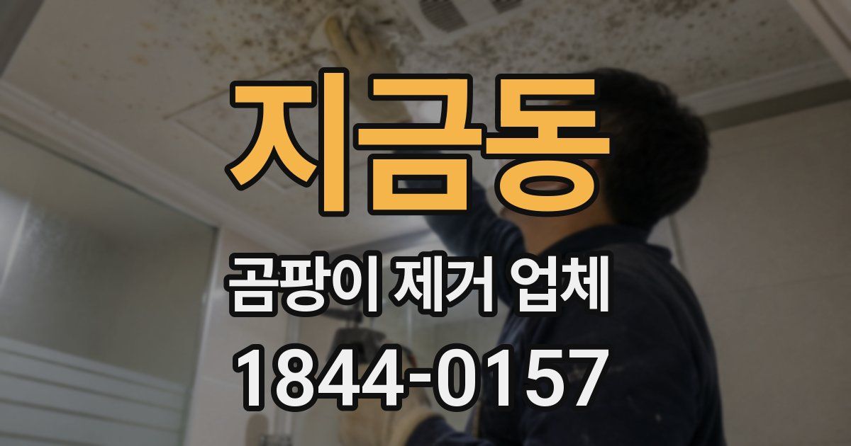 지금동 곰팡이 제거 업체
