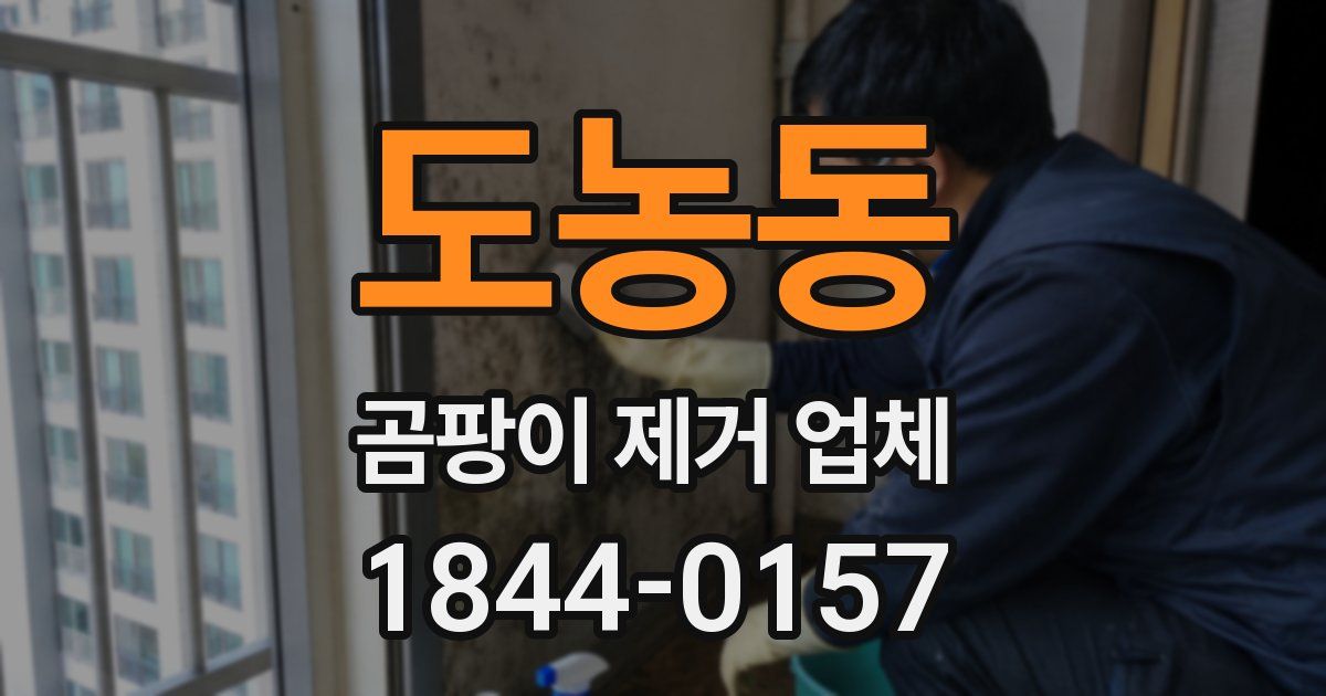 도농동 곰팡이 제거 업체