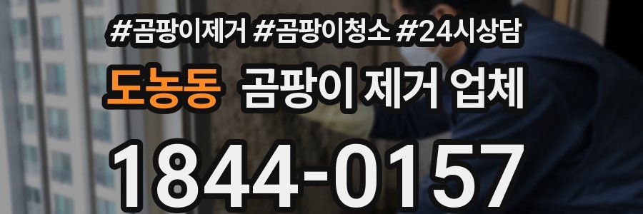 도농동 곰팡이 제거 업체