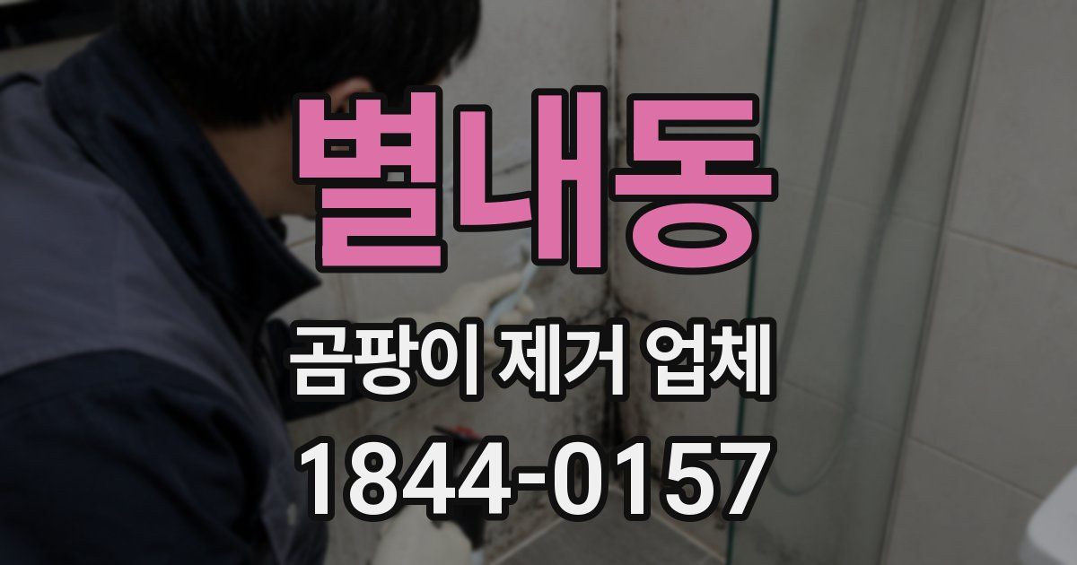 별내동 곰팡이 제거 업체