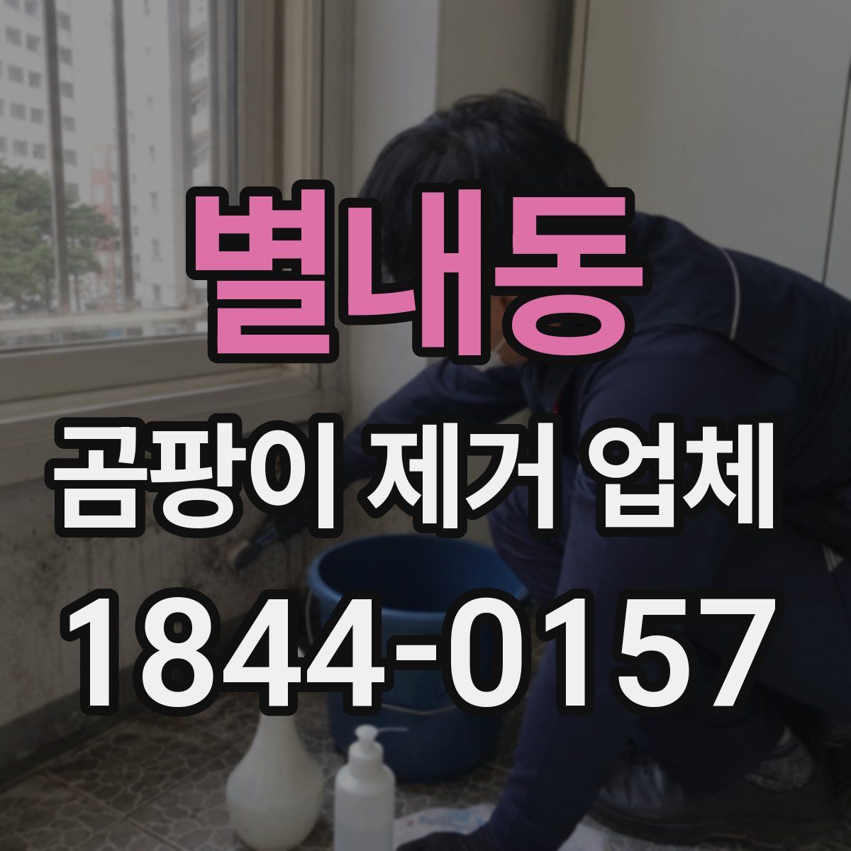 별내동 곰팡이 제거 업체