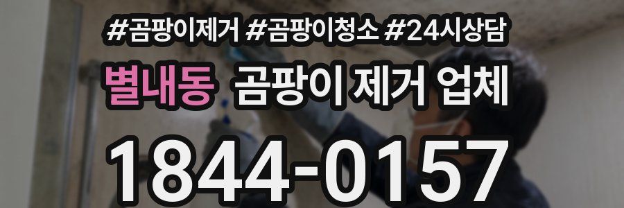 별내동 곰팡이 제거 업체