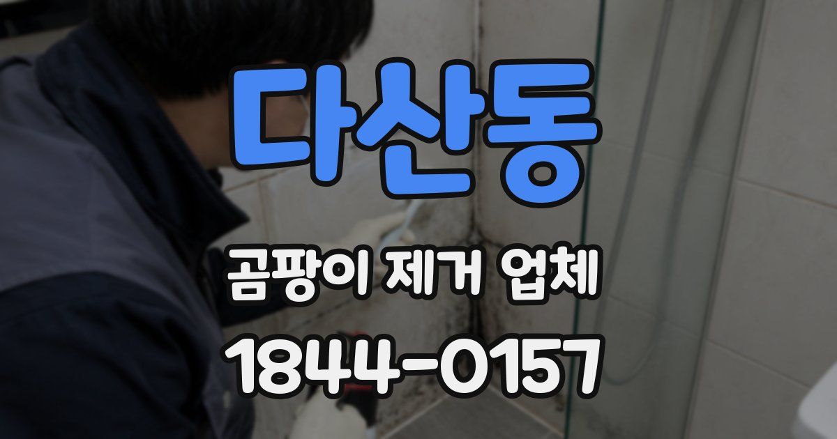 다산동 곰팡이 제거 업체