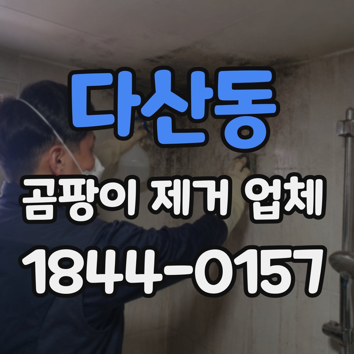 다산동 곰팡이 제거 업체