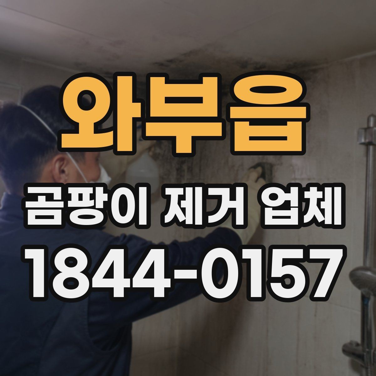 와부읍 곰팡이 제거 업체 사진 한 장 상담 전에 준비할 자료