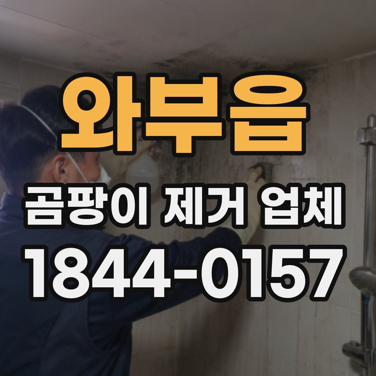 와부읍 곰팡이 제거 업체