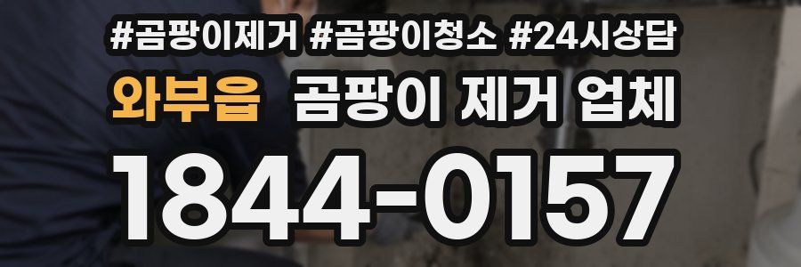 와부읍 곰팡이 제거 업체