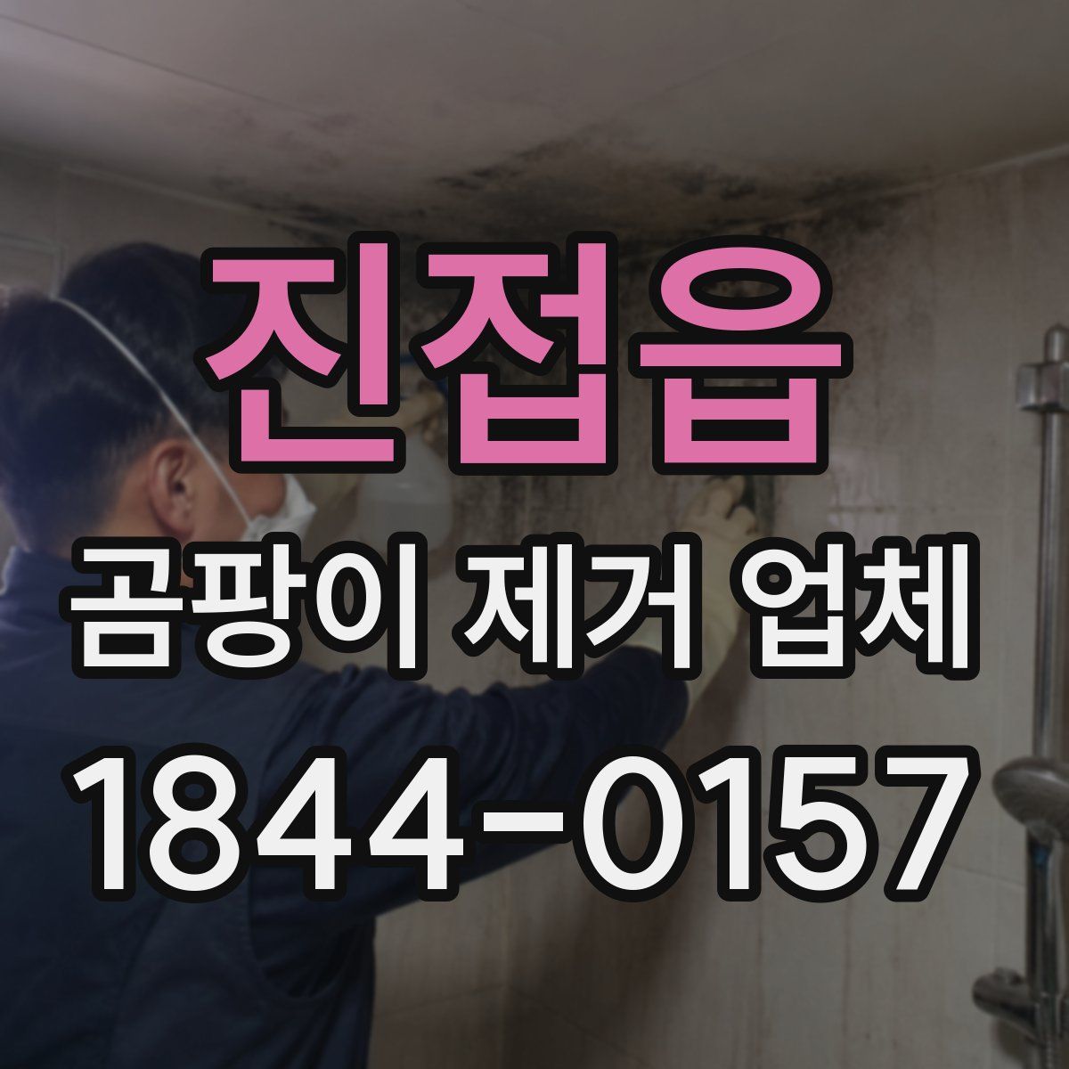 진접읍 곰팡이 제거 업체
