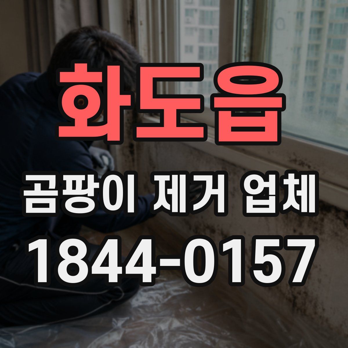 화도읍 곰팡이 제거 업체