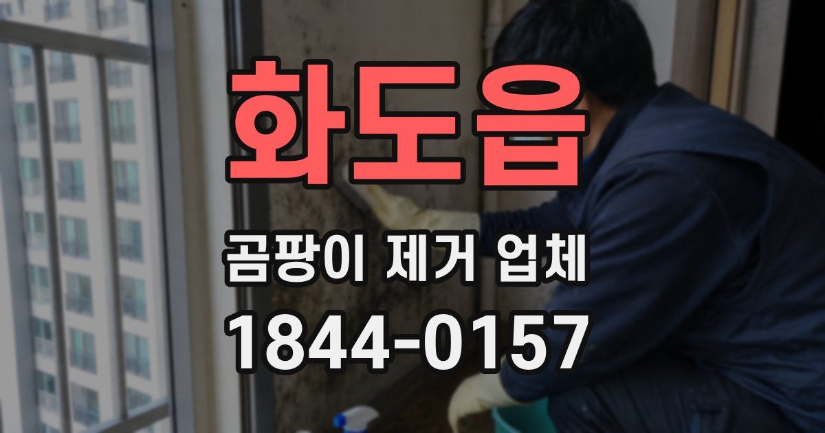 화도읍 곰팡이 제거 업체