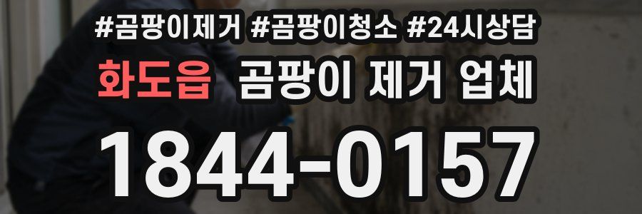 화도읍 곰팡이 제거 업체