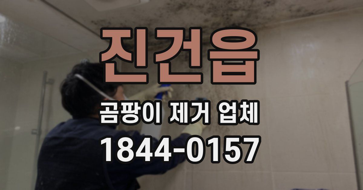 진건읍 곰팡이 제거 업체
