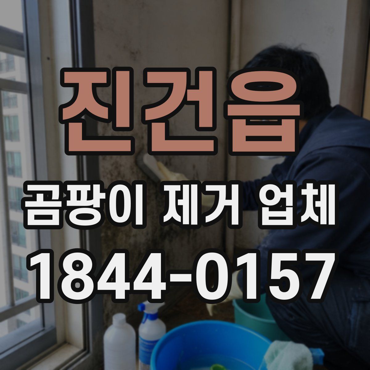 진건읍 곰팡이 제거 업체