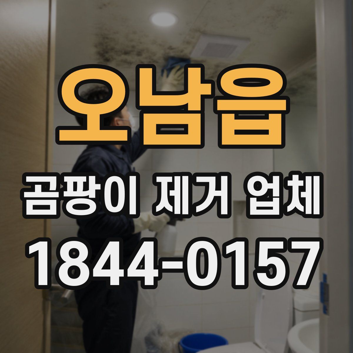 오남읍 곰팡이 제거 업체