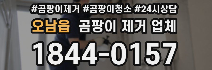 오남읍 곰팡이 제거 업체