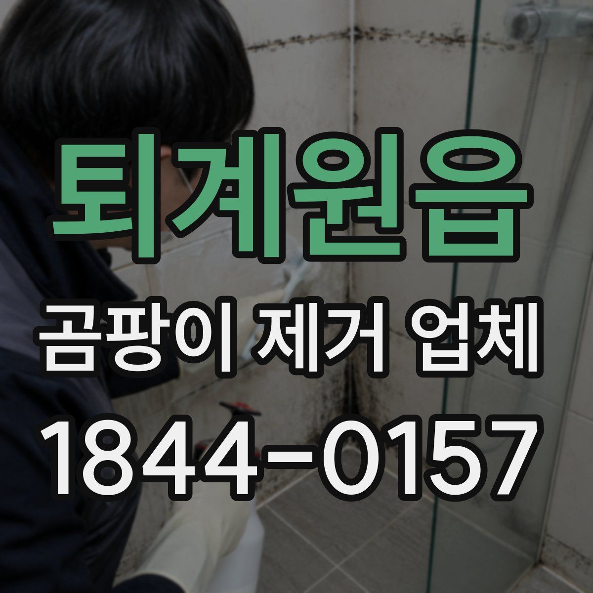 퇴계원읍 곰팡이 제거 업체
