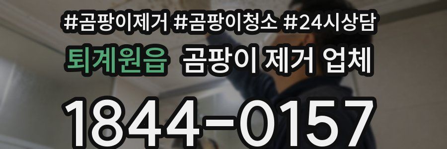 퇴계원읍 곰팡이 제거 업체