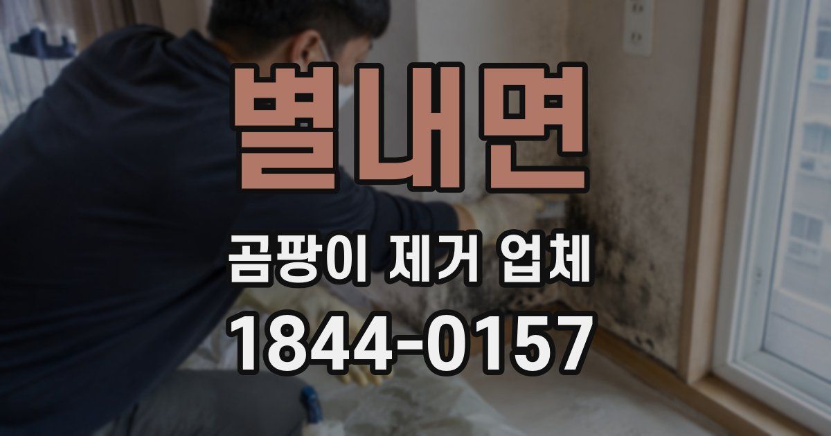 별내면 곰팡이 제거 업체