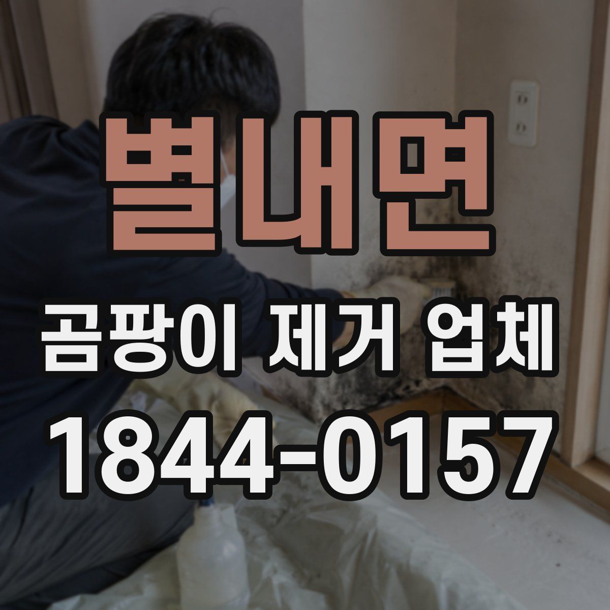 별내면 곰팡이 제거 업체
