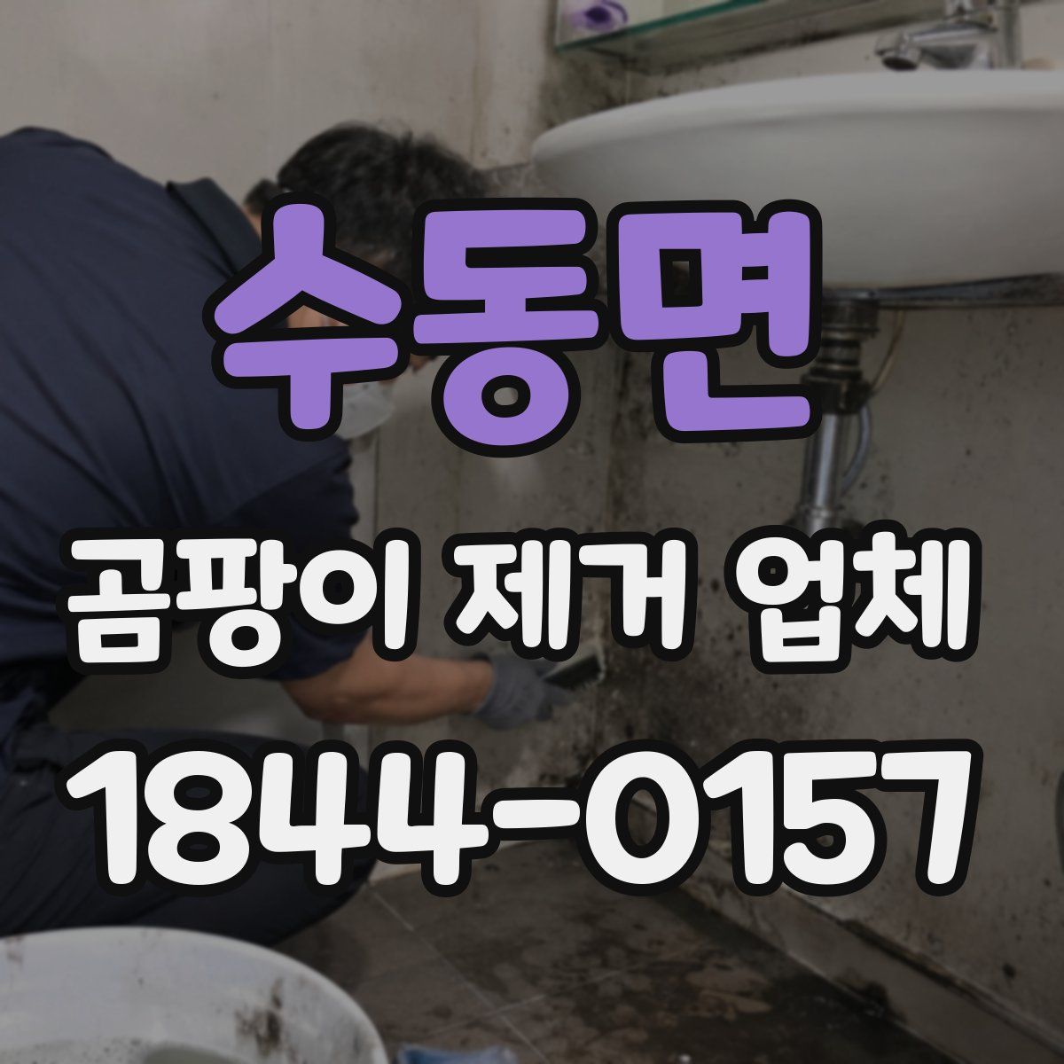 수동면 곰팡이 제거 업체