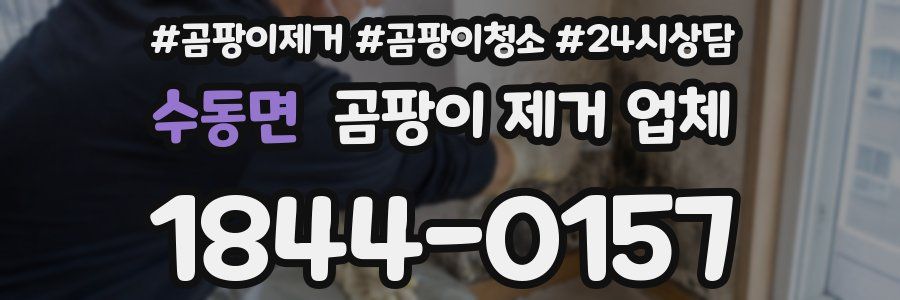 수동면 곰팡이 제거 업체