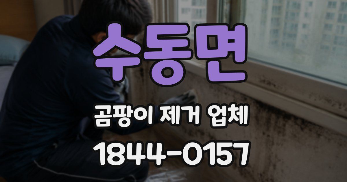 수동면 곰팡이 제거 업체