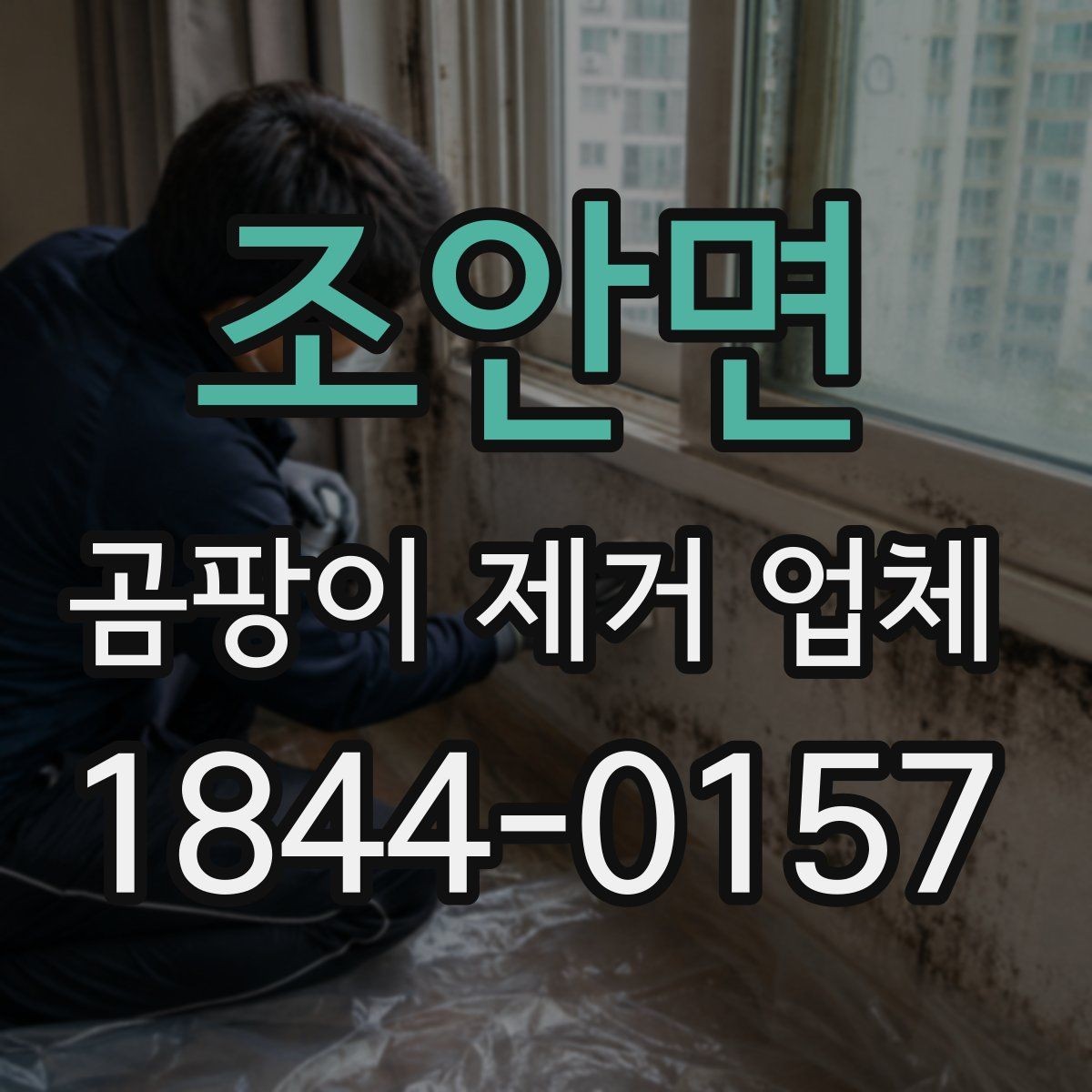 조안면 곰팡이 제거 업체 냄새가 먼저 나는 공간에서 시작하는 진단