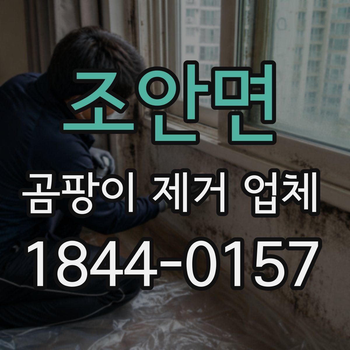 조안면 곰팡이 제거 업체