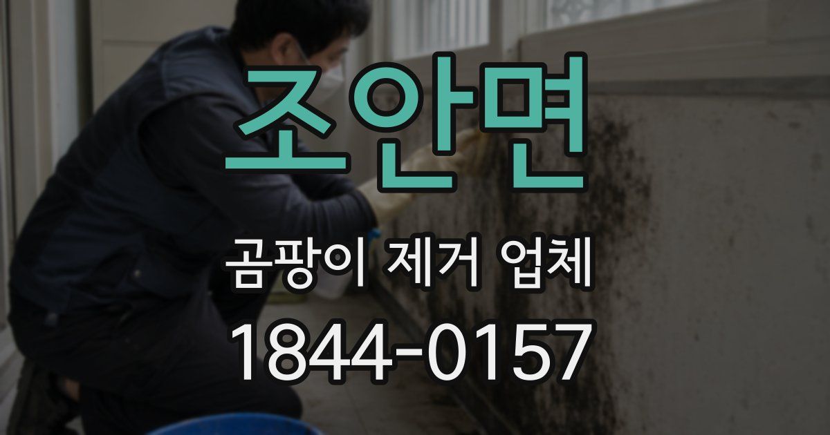 조안면 곰팡이 제거 업체