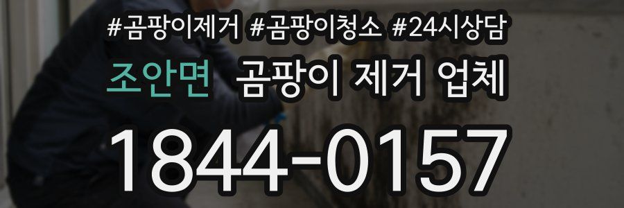조안면 곰팡이 제거 업체