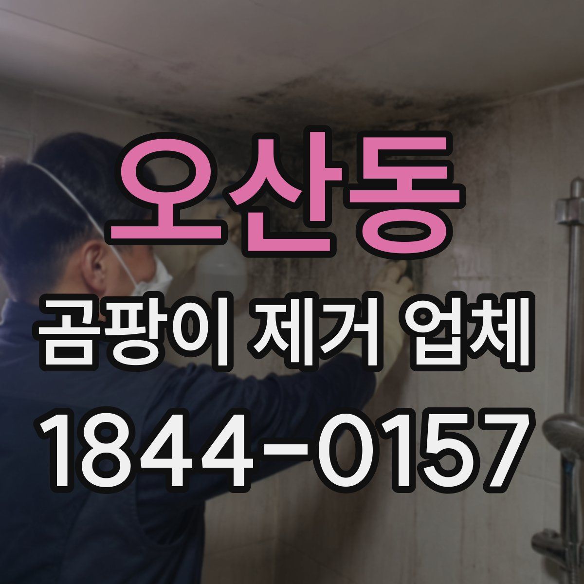 오산동 곰팡이 제거 업체
