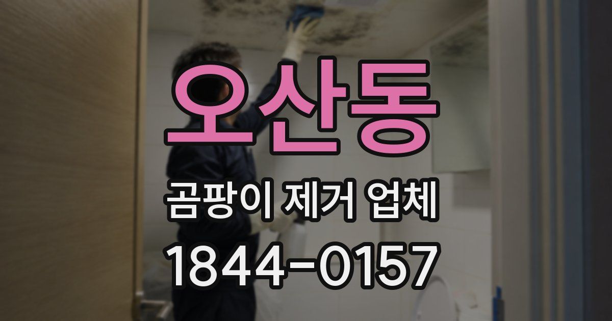 오산동 곰팡이 제거 업체
