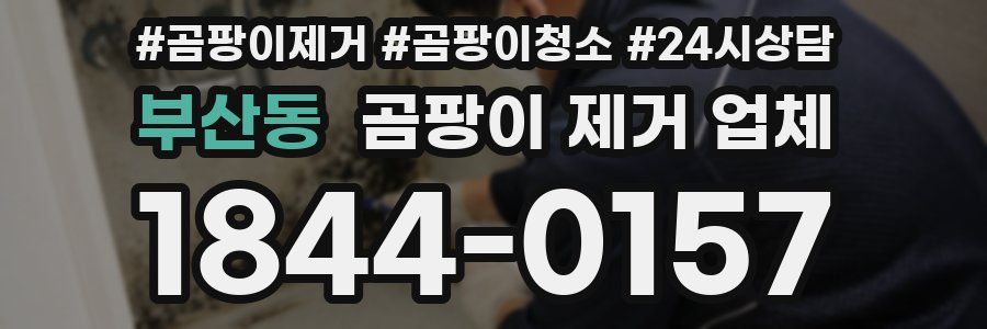부산동 곰팡이 제거 업체