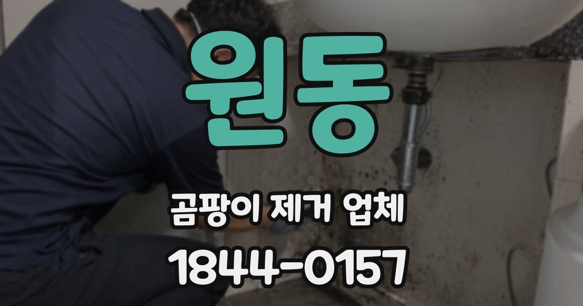 원동 곰팡이 제거 업체