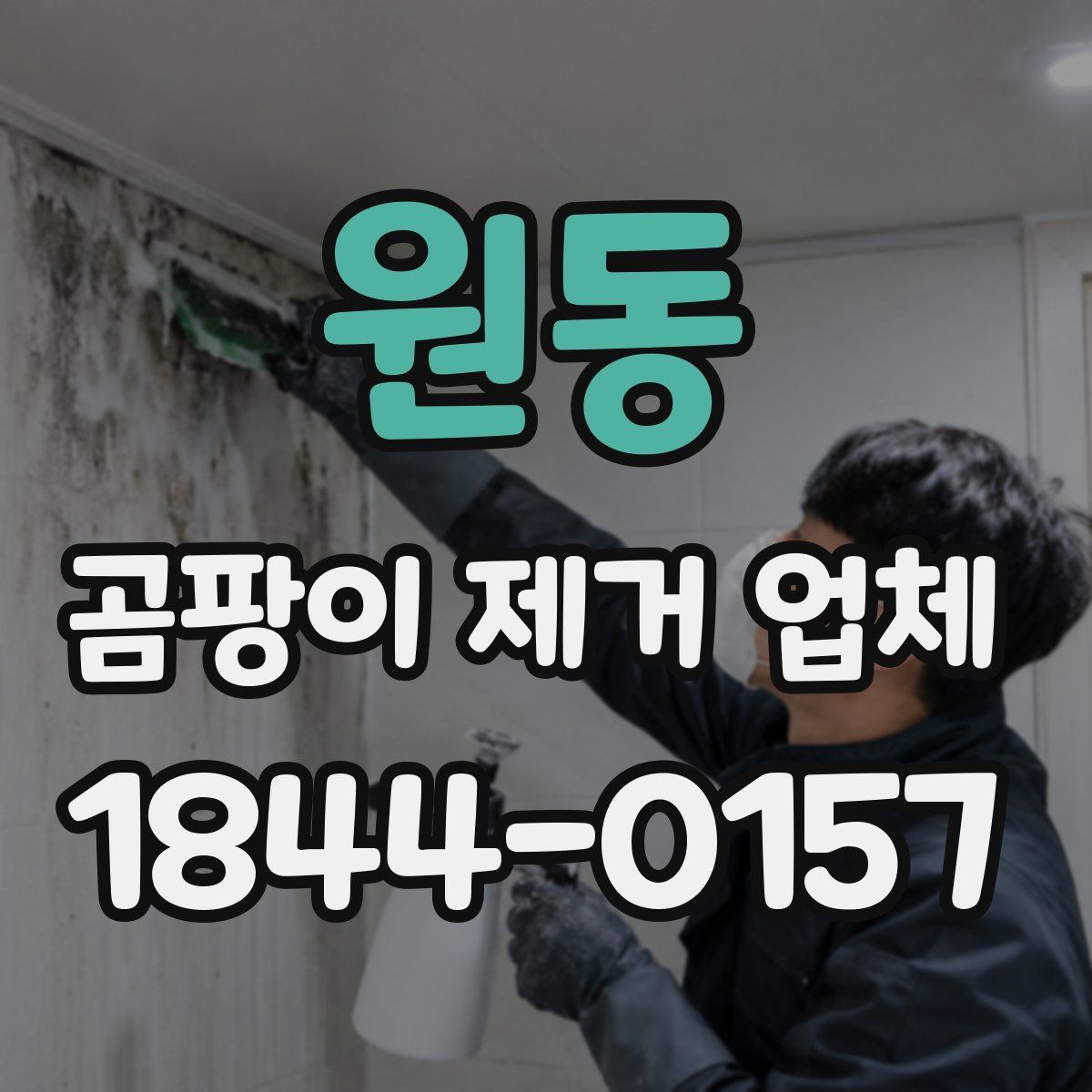 원동 곰팡이 제거 업체