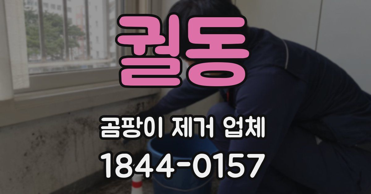 궐동 곰팡이 제거 업체
