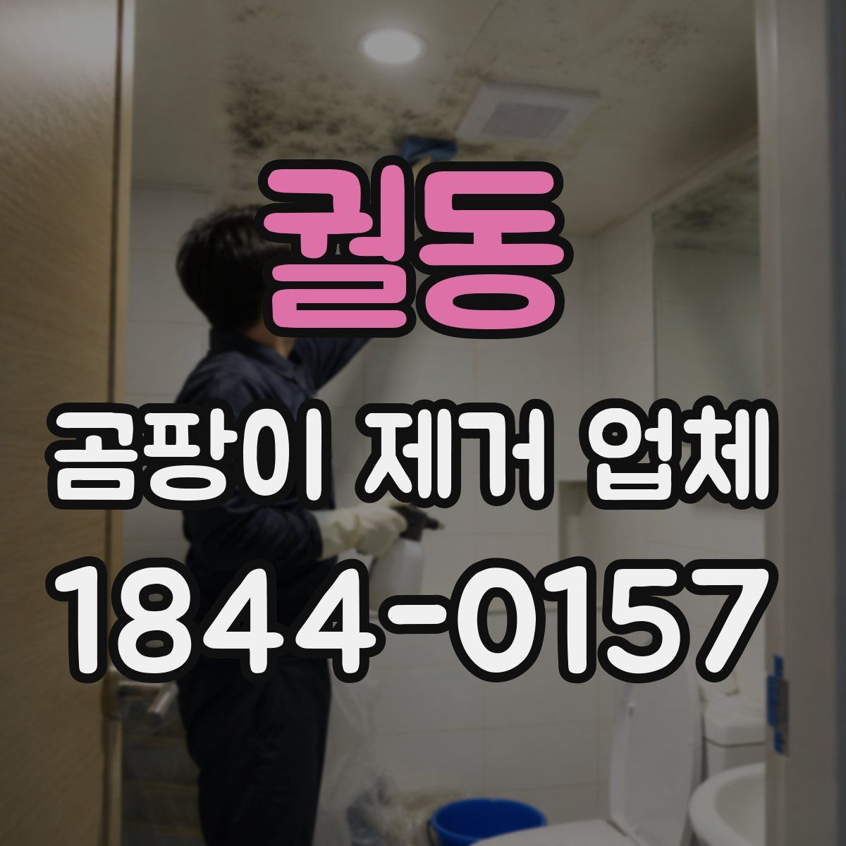 궐동 곰팡이 제거 업체
