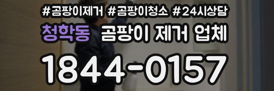 청학동 곰팡이 제거 업체