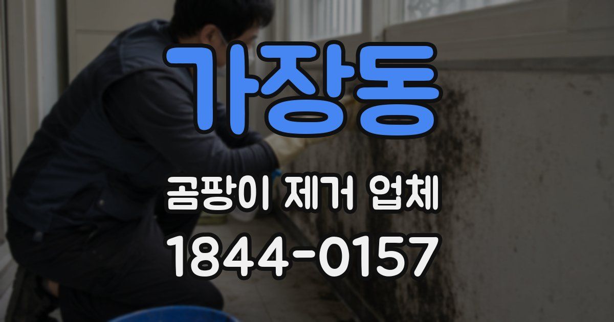 가장동 곰팡이 제거 업체