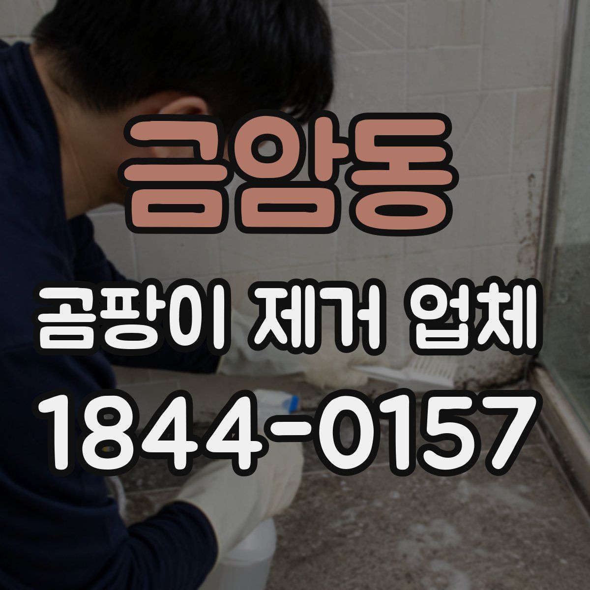 금암동 곰팡이 제거 업체