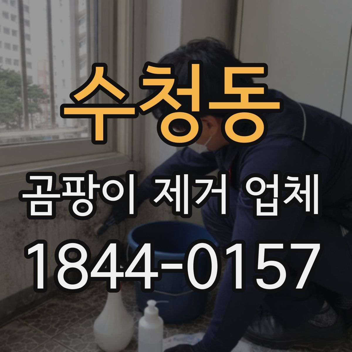 수청동 곰팡이 제거 업체