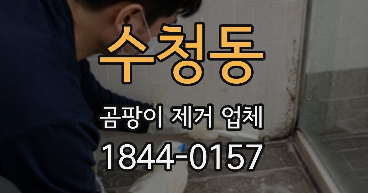 수청동 곰팡이 제거 업체
