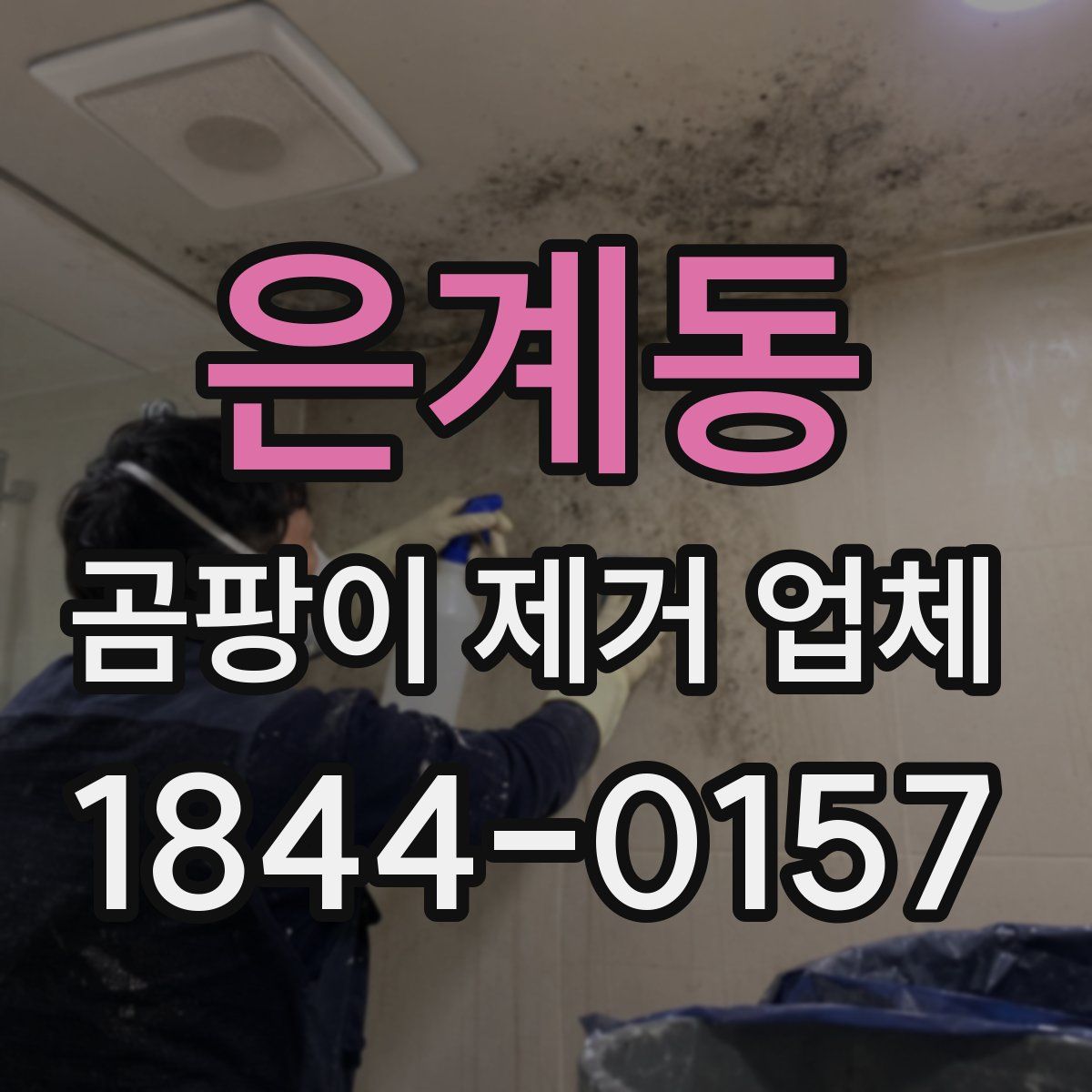 은계동 곰팡이 제거 업체